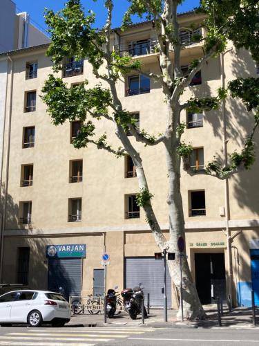 Bed and breakfast Grands-Carmes