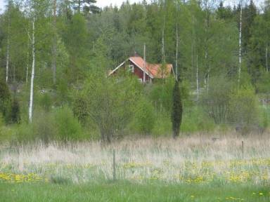 Cabin  Alvesta Municipality