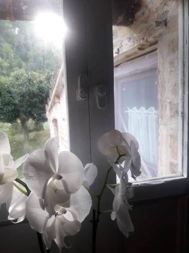 Bed & Breakfast Montefortino