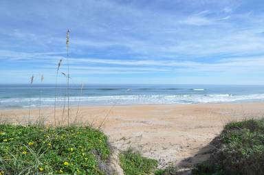House Flagler Beach