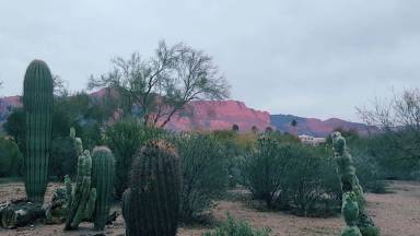 House  Gold Canyon