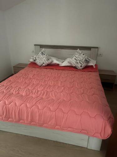 Bed and breakfast  Motru Sec