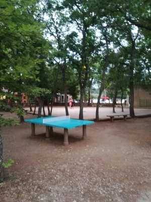 foto19