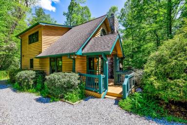 Cabin Blue Ridge