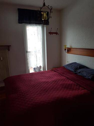 foto20