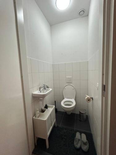 foto7