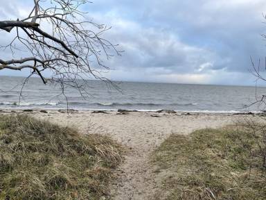 Ferienhaus nahe zum Strand für 4 Gäste mit Hund in Gahlkow, Mecklenburg-Vorpommern, Ostsee-Küste
