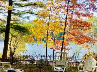 Cottage  Kingston