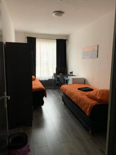 foto14