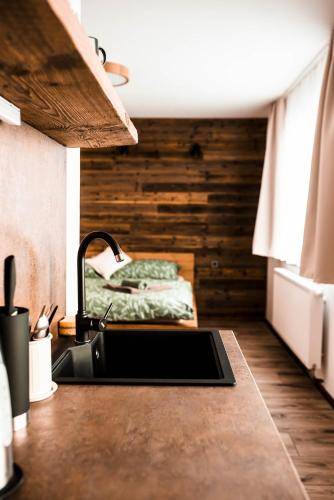 Apartmán Nové Město pod Smrkem