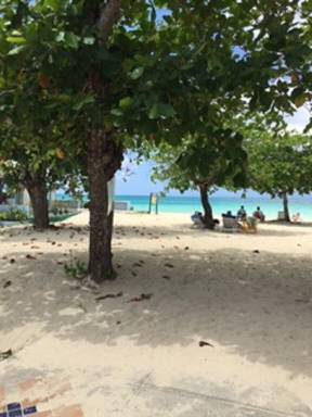 Condo Negril