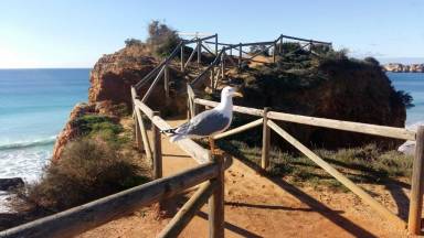 Appartement Alvor