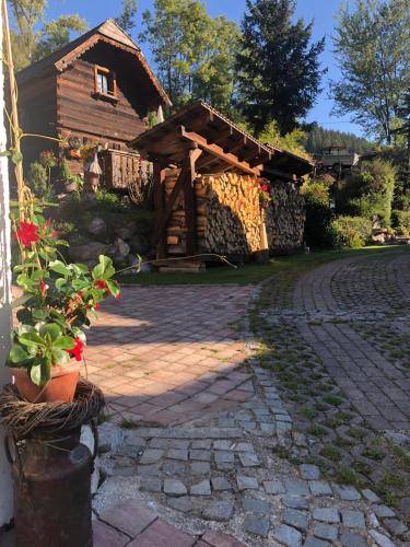 foto6