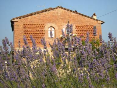 House  Capannori