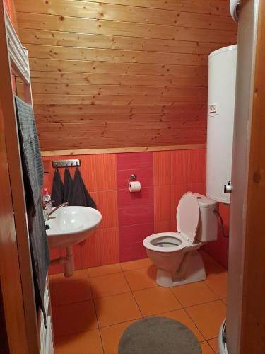 foto16
