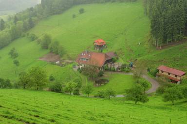 Bauernhof Mühlenbach