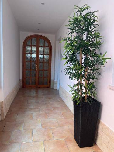 Bed & Breakfast Elmas