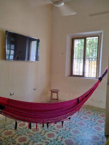 foto6