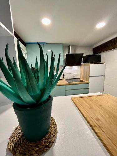 Apartamento Burgos