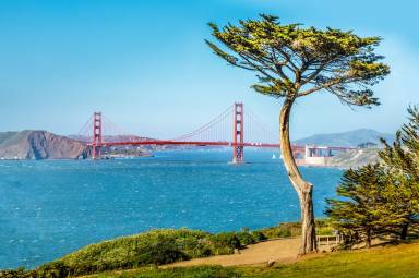 Apartment Golden Gate Bridge