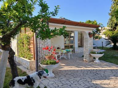 Magnifica villa adatta alle famiglie con giardino e barbecue | Sono ammessi animali domestici