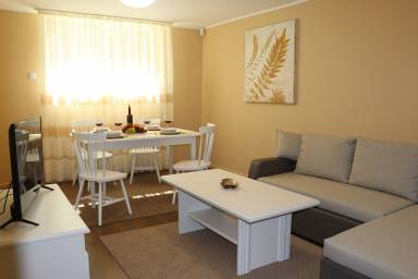 Apartment Kitchen Cluj-Napoca