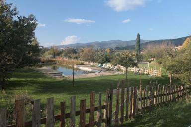Casale  Il Borgo