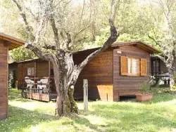 Przyczepa kempingowa Bracciano