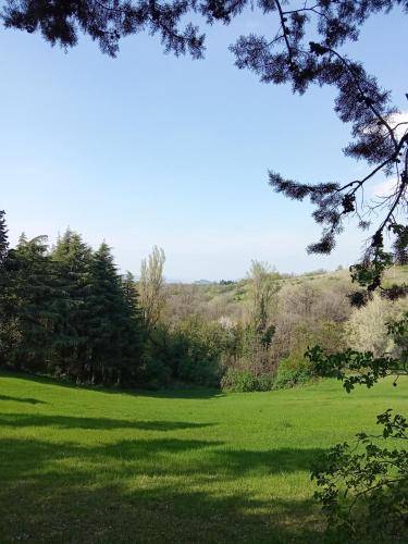 foto9