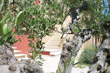 Bed and breakfast  Offida