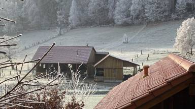 Ferienhaus Amelith