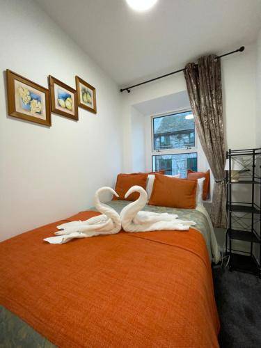 Apartamento amueblado Galway