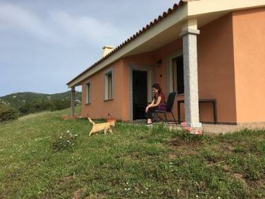 Appartamento  Arzachena