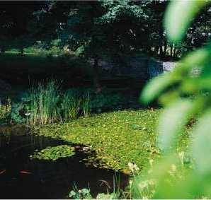 Privatzimmer Usseln