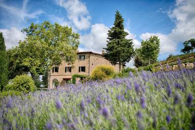 Ferienwohnung Greve in Chianti