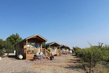 Resort Cottonwood