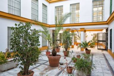 Apartment Seville