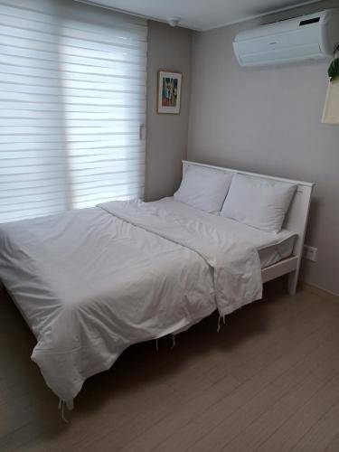 foto8