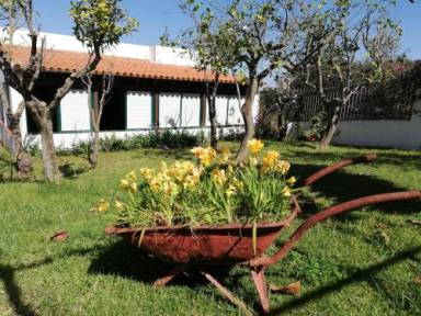 House  El Sauzal
