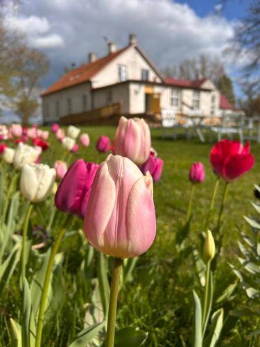 bed & breakfast  Helsingborg