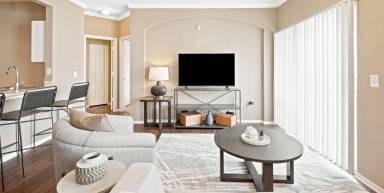 Apartment  Pinellas Park