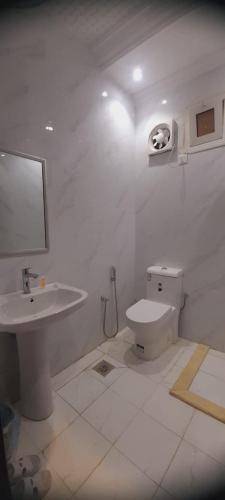 foto16