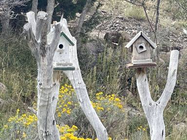 Cottage Pine Valley