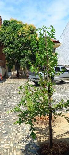 Apartamento  Atalaia