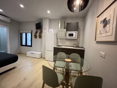 Estudio de 24 m²