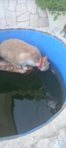 foto11