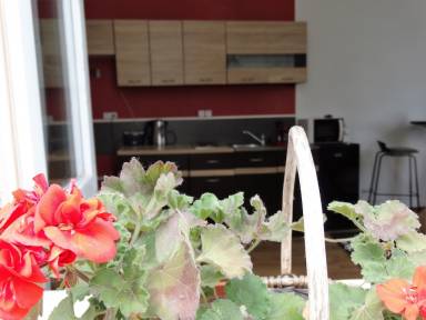 Appartement Saumur