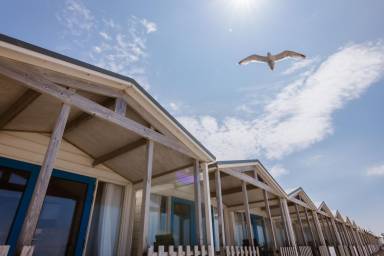 Ferienhaus  Wijk aan Zee