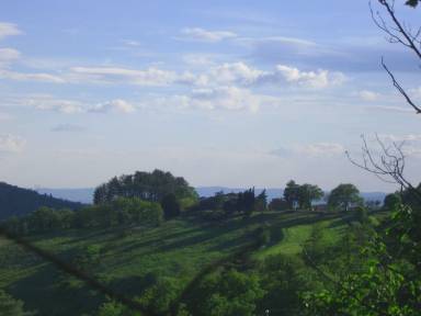 Farmhouse Anghiari