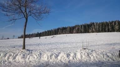 60 m² Ferienhaus